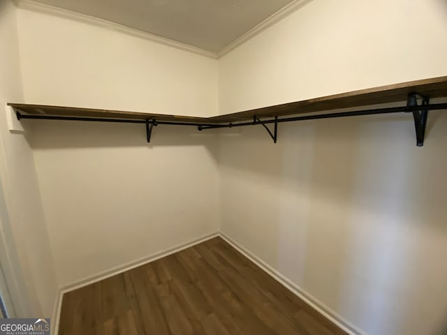 walk in closet featuring dark hardwood / wood-style flooring