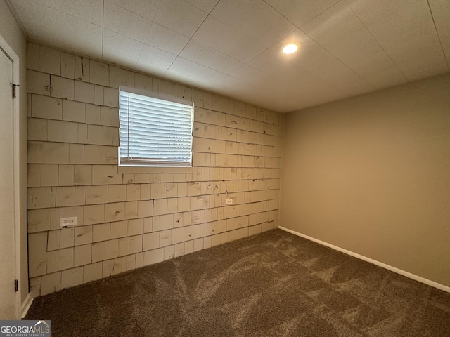 basement featuring carpet flooring