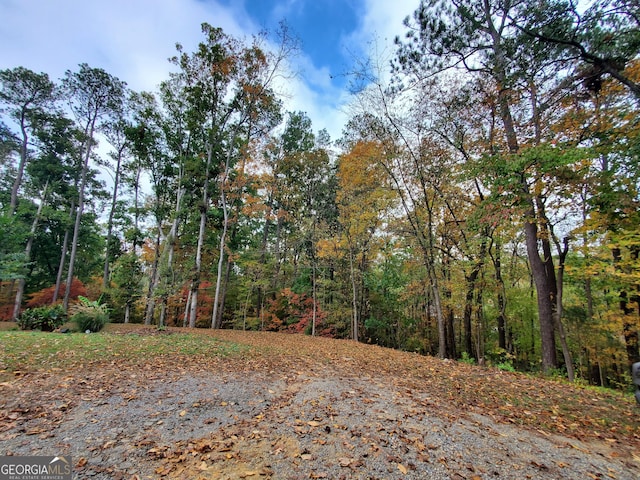 view of street featuring a wooded view