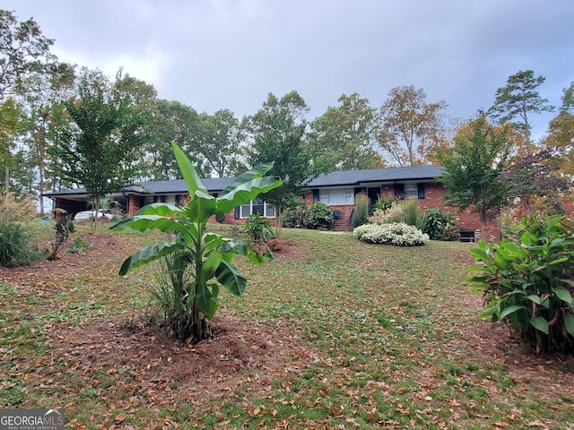 view of yard with an attached carport