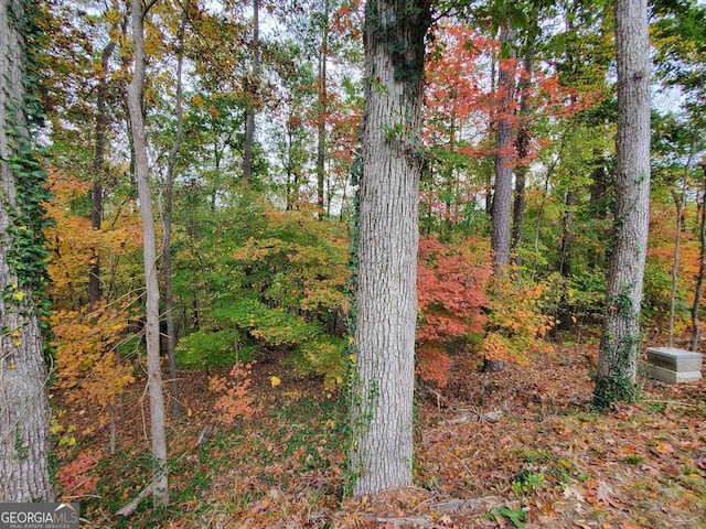 view of nature with a wooded view