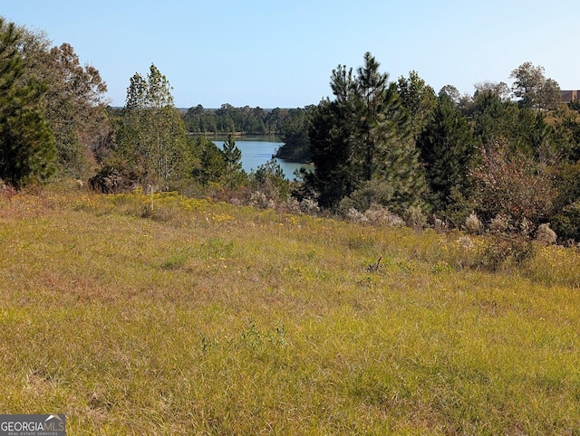 view of water feature featuring a wooded view