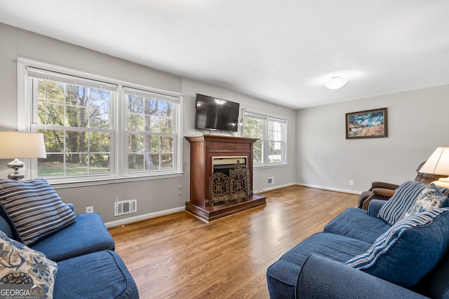 living room with light wood-type flooring