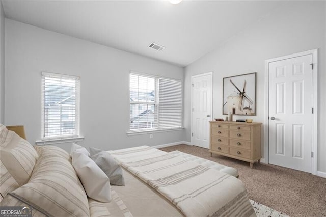 carpeted bedroom with multiple windows and lofted ceiling