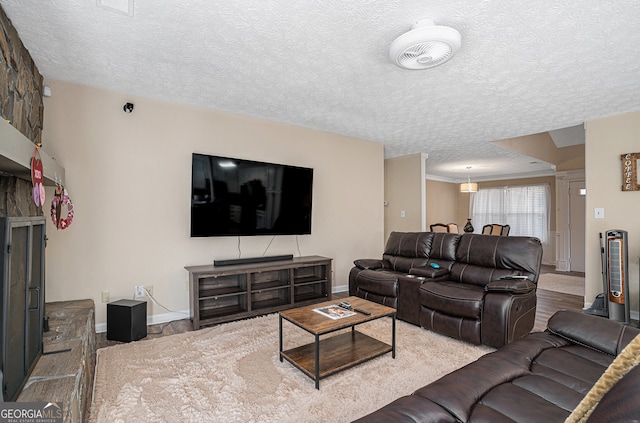 living room featuring hardwood / wood-style floors and a textured ceiling