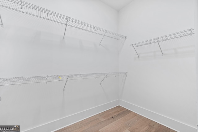 spacious closet featuring wood finished floors