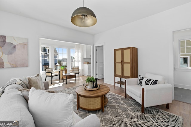 living room featuring baseboards and wood finished floors