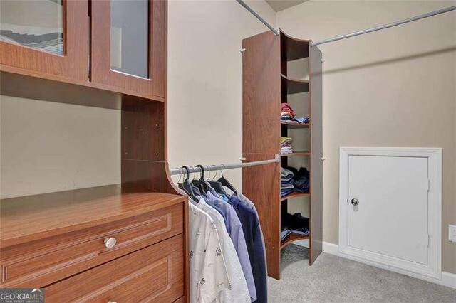 walk in closet with light carpet