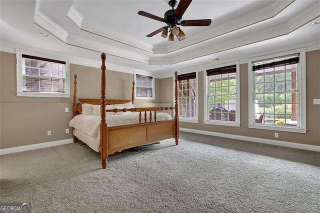 unfurnished bedroom with crown molding, ceiling fan, carpet flooring, and a raised ceiling