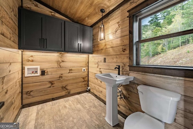 clothes washing area featuring wooden walls, wooden ceiling, and a wealth of natural light