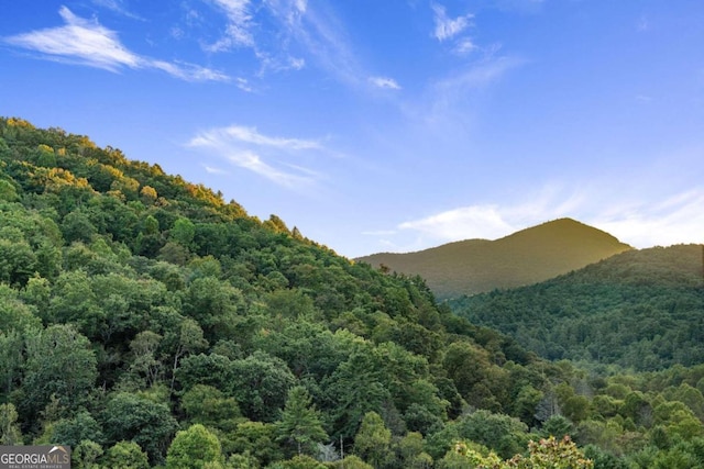 view of mountain feature