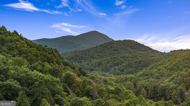 property view of mountains