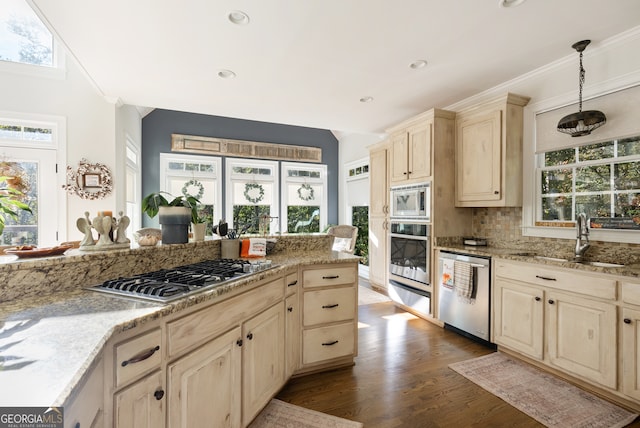 kitchen with a healthy amount of sunlight and stainless steel appliances