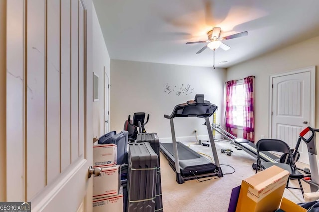 exercise area featuring carpet and ceiling fan