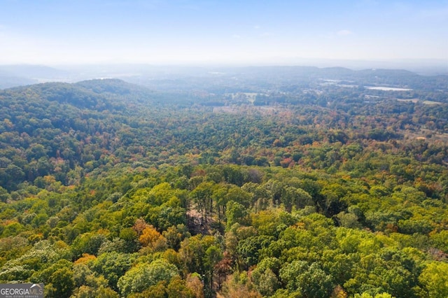 aerial view with a mountain view