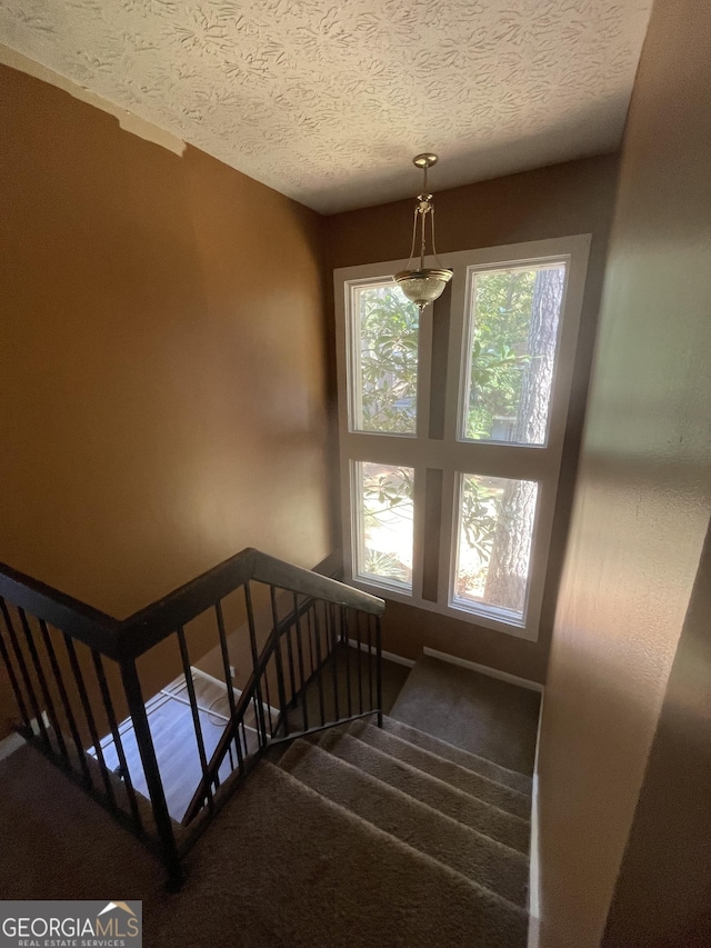 8596 Creekwood Way, Jonesboro, GA 30238 - stairs featuring carpet floors and a textured ceiling