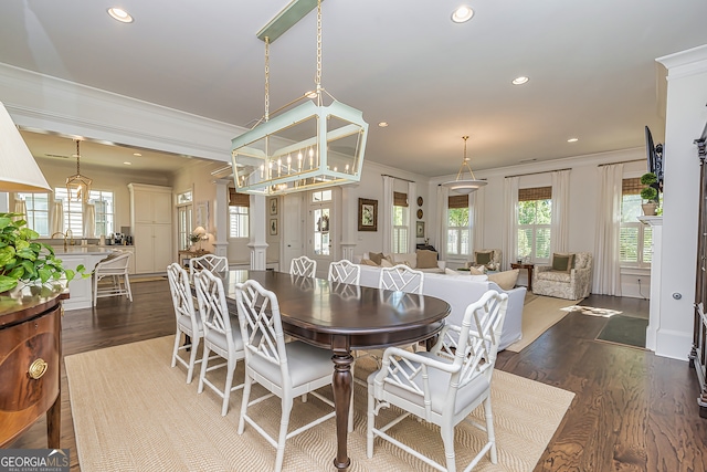 dining space featuring dark wood-type flooring, ornamental molding, and sink