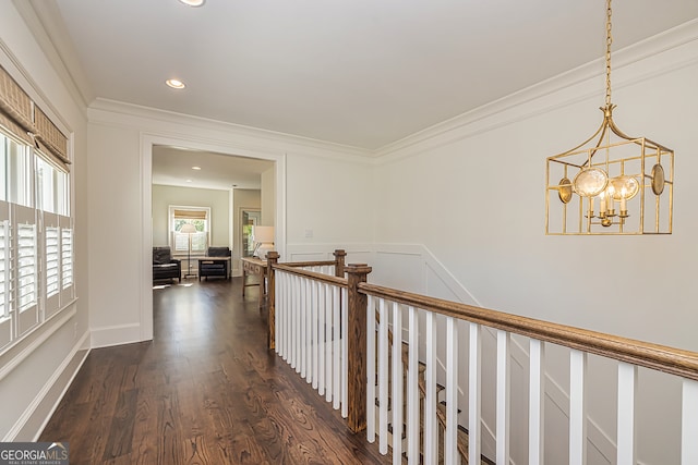 hallway with an inviting chandelier, crown molding, dark hardwood / wood-style floors, and a healthy amount of sunlight