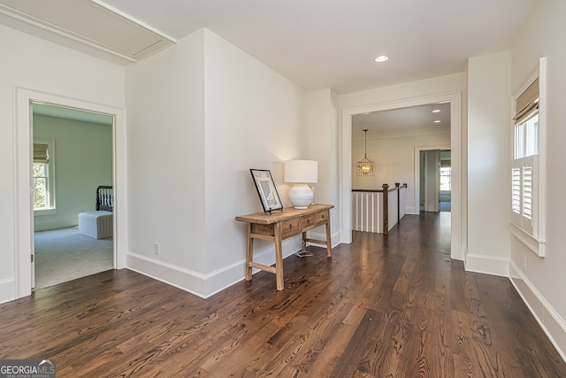 corridor featuring dark hardwood / wood-style floors