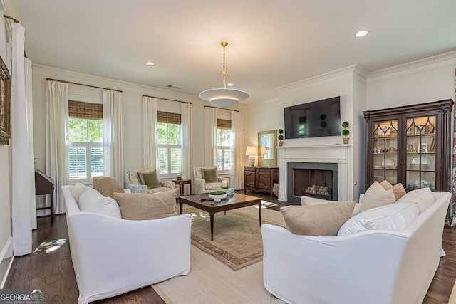 living room featuring crown molding and dark hardwood / wood-style flooring