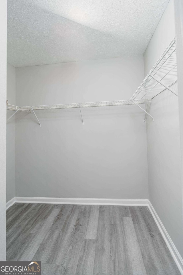 walk in closet featuring wood-type flooring