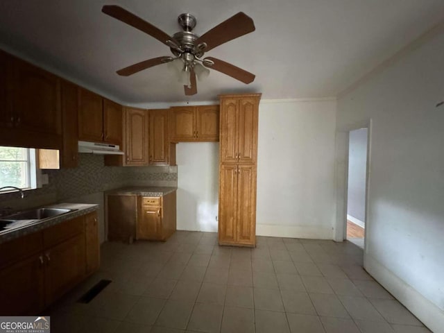 kitchen with ceiling fan, decorative backsplash, and sink