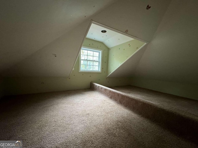 additional living space with lofted ceiling and carpet