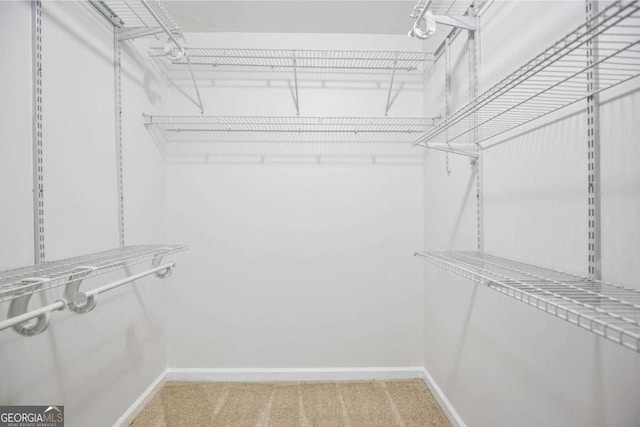 spacious closet with carpet