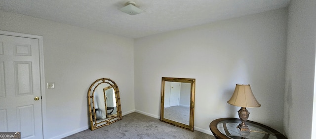 interior space with light colored carpet