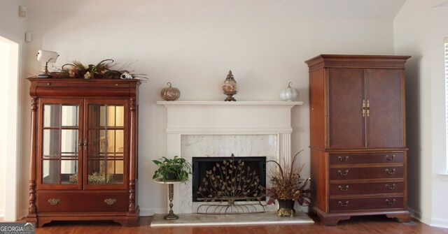 living room with a premium fireplace and hardwood / wood-style floors