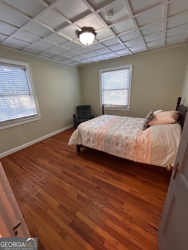 bedroom with multiple windows and wood-type flooring