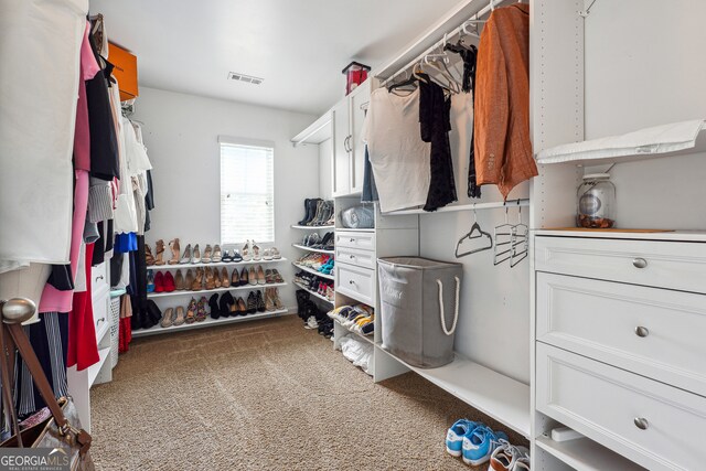 spacious closet with carpet floors