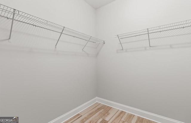 spacious closet featuring wood-type flooring