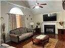 living room featuring a fireplace and wood-type flooring