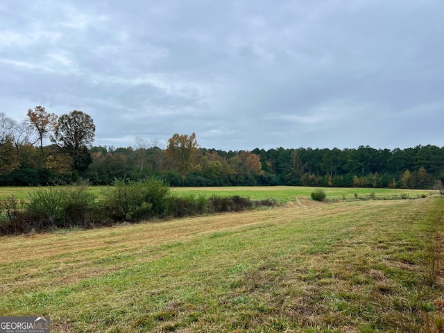 view of yard with a rural view