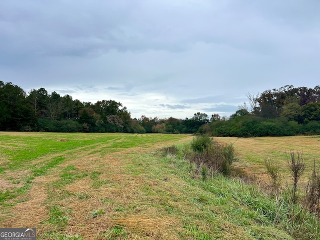 view of yard featuring a rural view