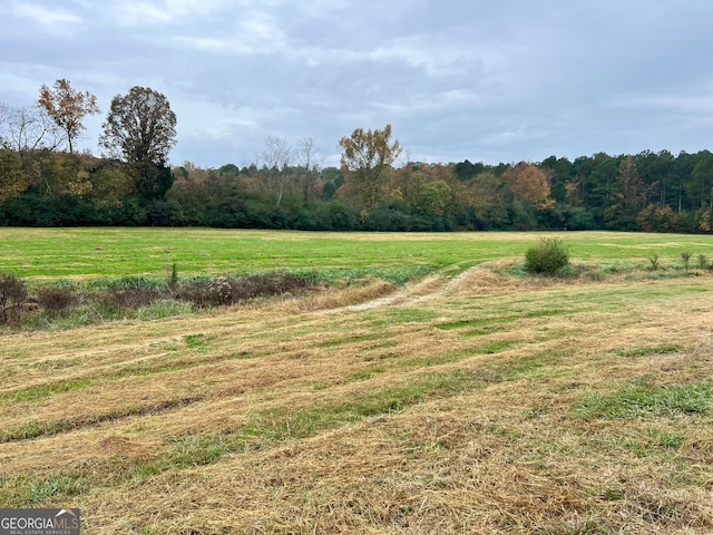 view of yard with a rural view