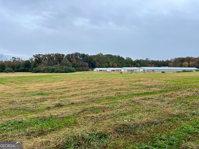 view of yard featuring a rural view