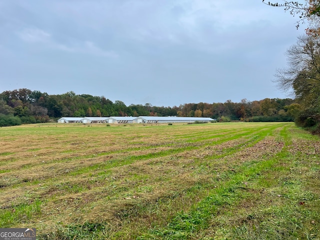 view of yard featuring a rural view