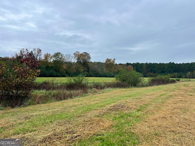 view of yard featuring a rural view