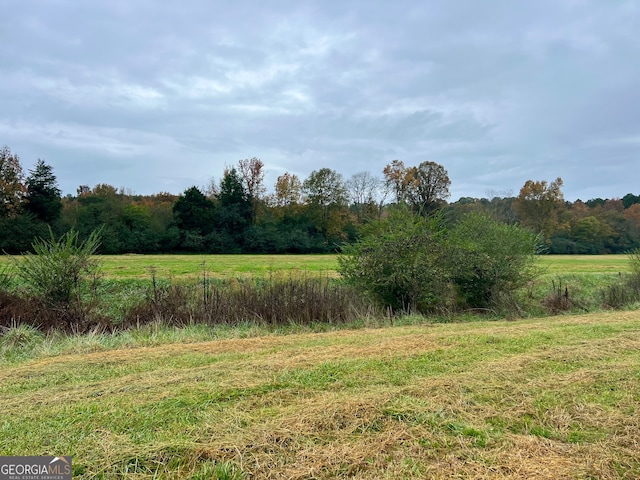 view of yard with a rural view