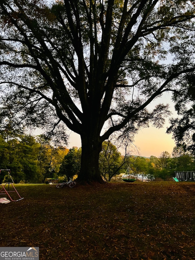 view of yard at dusk