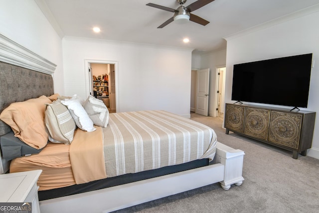 carpeted bedroom featuring crown molding, a walk in closet, and ceiling fan