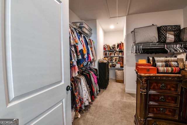 spacious closet with light carpet