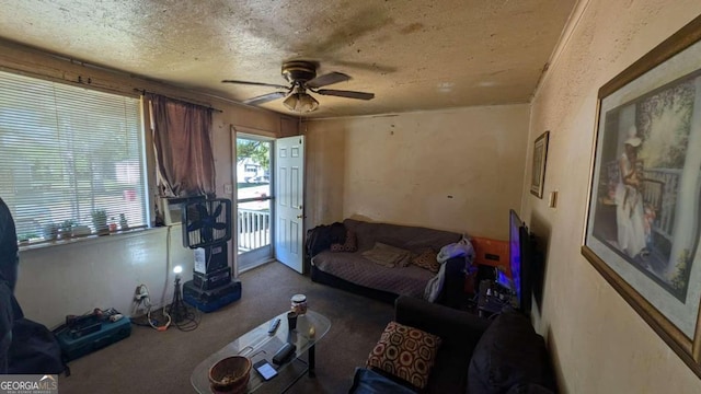 1870 Bethlea Ave, Macon, GA 31204 - carpeted living area with a ceiling fan and a textured ceiling