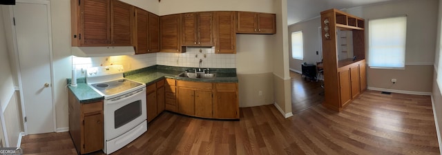 kitchen with ventilation hood, decorative backsplash, dark hardwood / wood-style floors, electric stove, and sink