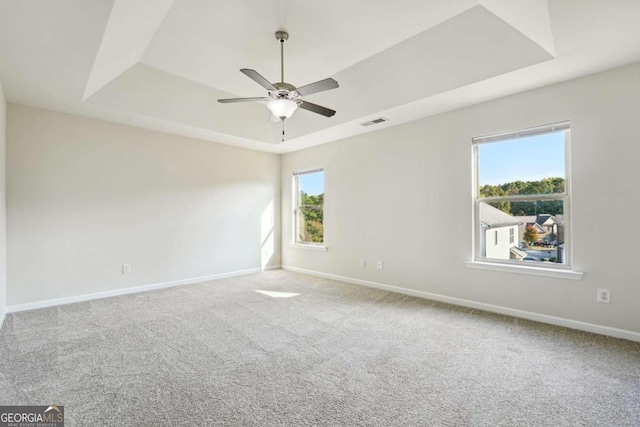 empty room featuring carpet flooring, a tray ceiling, and plenty of natural light