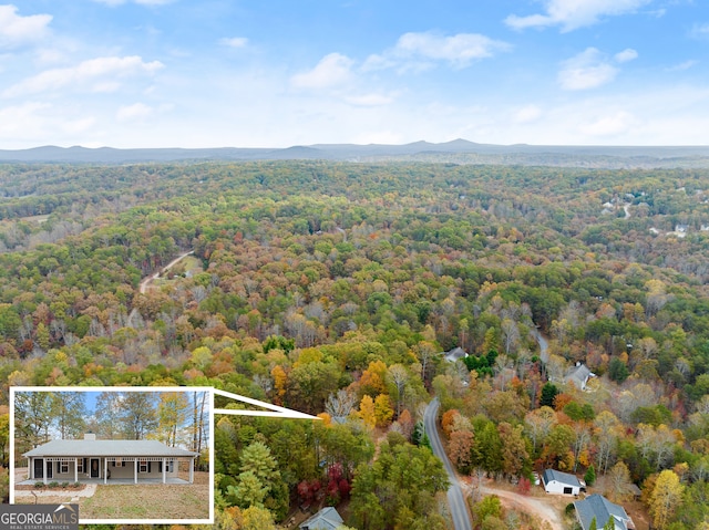 birds eye view of property with a mountain view