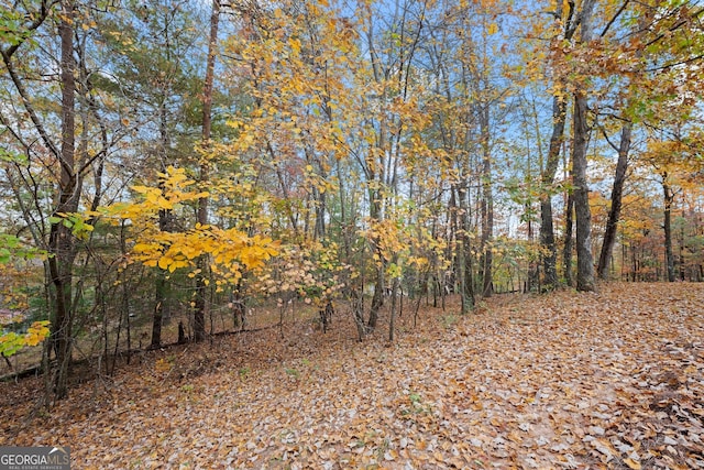 view of local wilderness