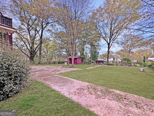 view of yard featuring a storage shed